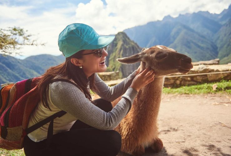 Woman petting a llama with scenic mountain background