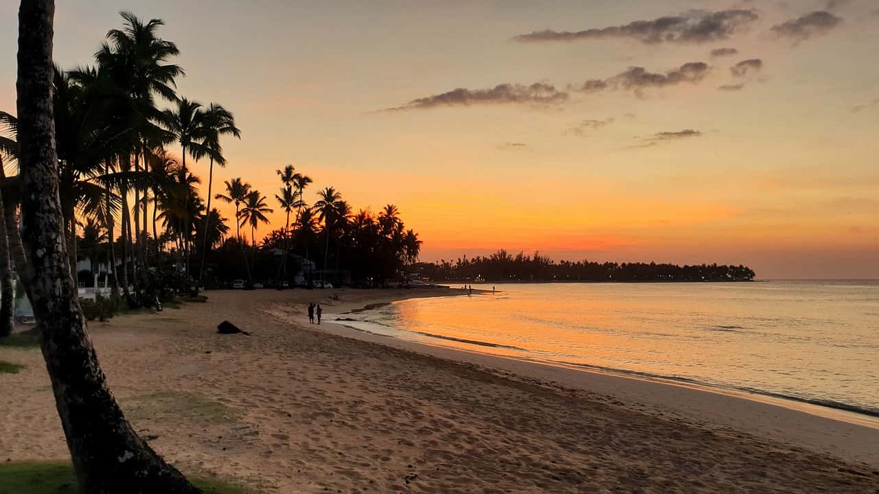 Palm trees along a sandy beach at sunset with calm waters