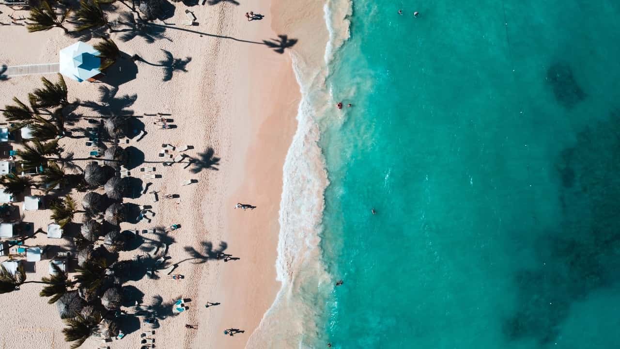 Aerial view of a sandy beach with palm trees and turquoise waters