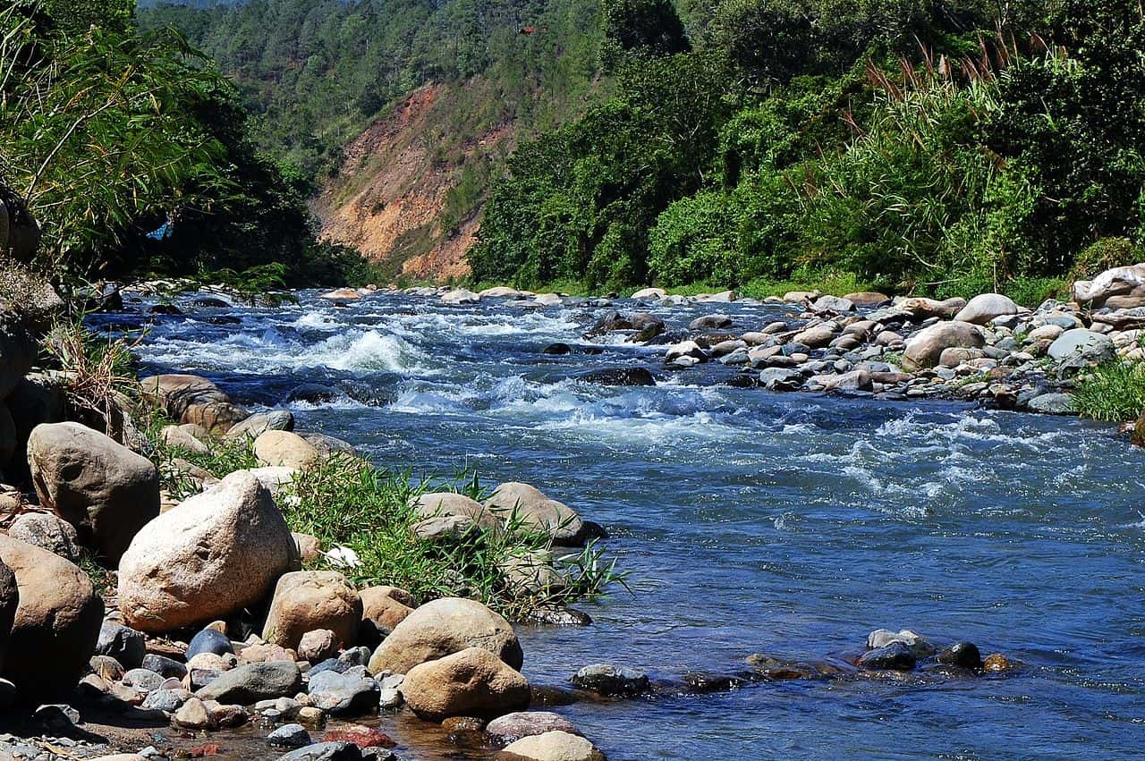 Clear flowing river with rocks on the shore and surrounded by lush greenery