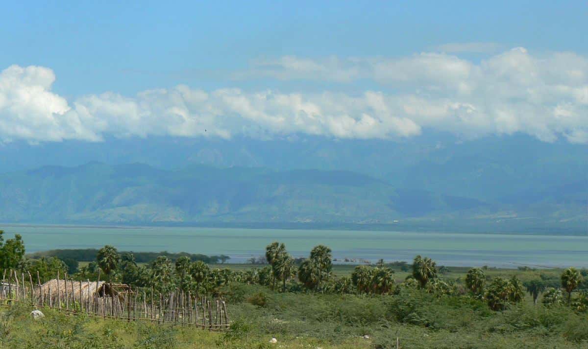 Lush greenery with scattered palm trees, overlooking a vast body of water and distant mountains