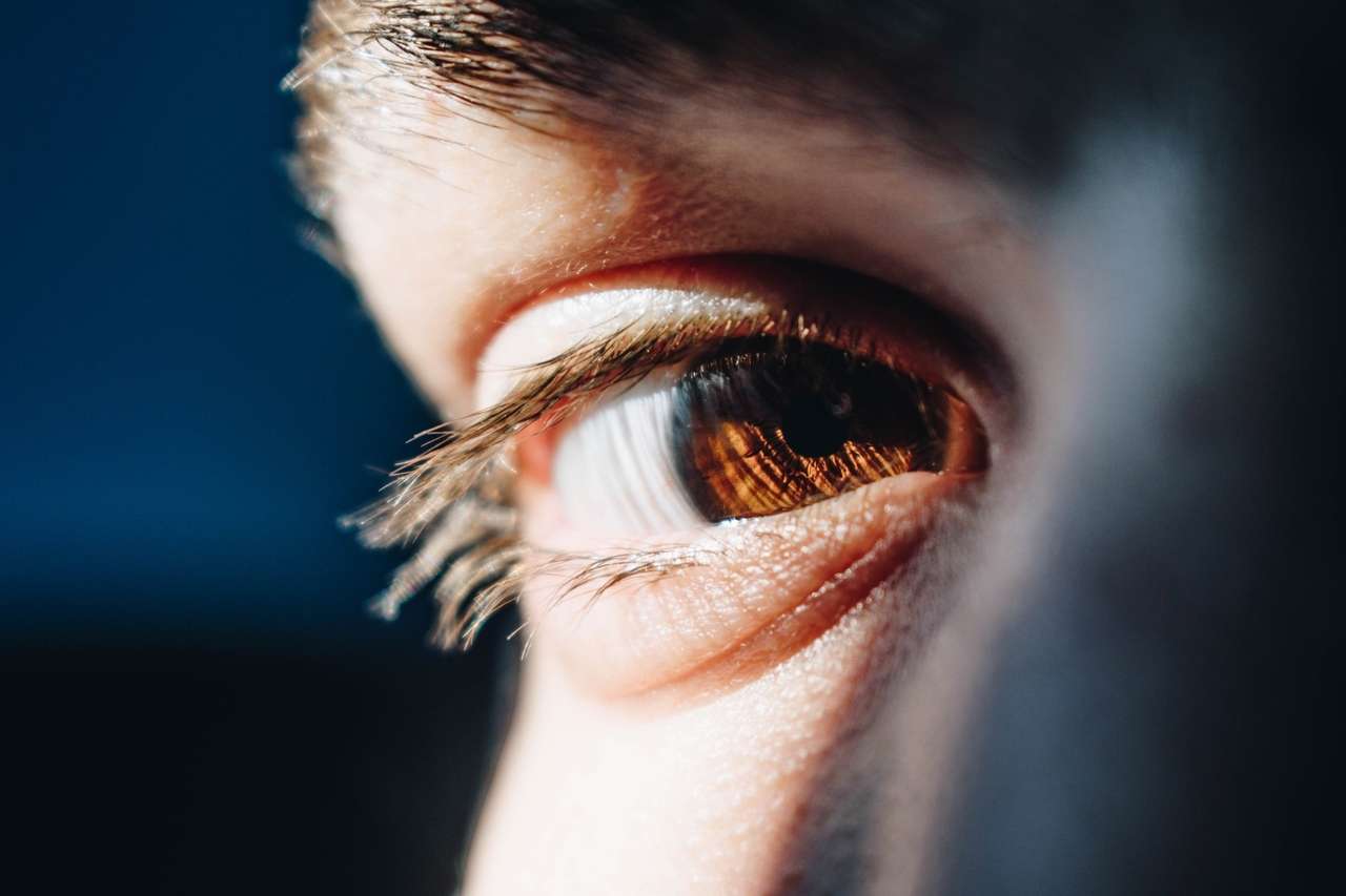 Close-up of a brown human eye