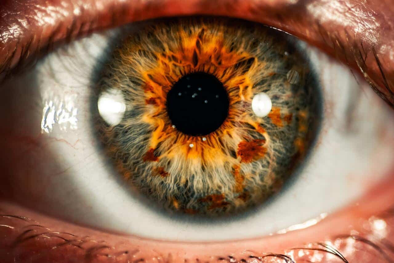 a close-up view of a human eye