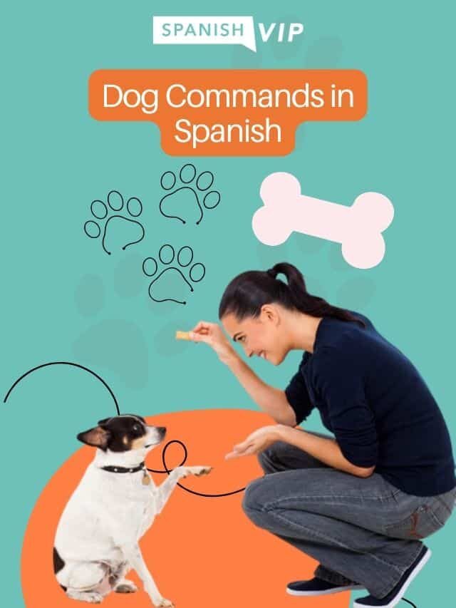 Dog Commands in Spanish