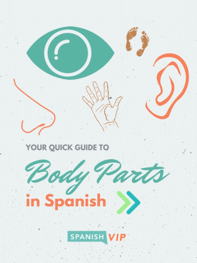 GWS-Body-Parts-in-Spanish-1-poster