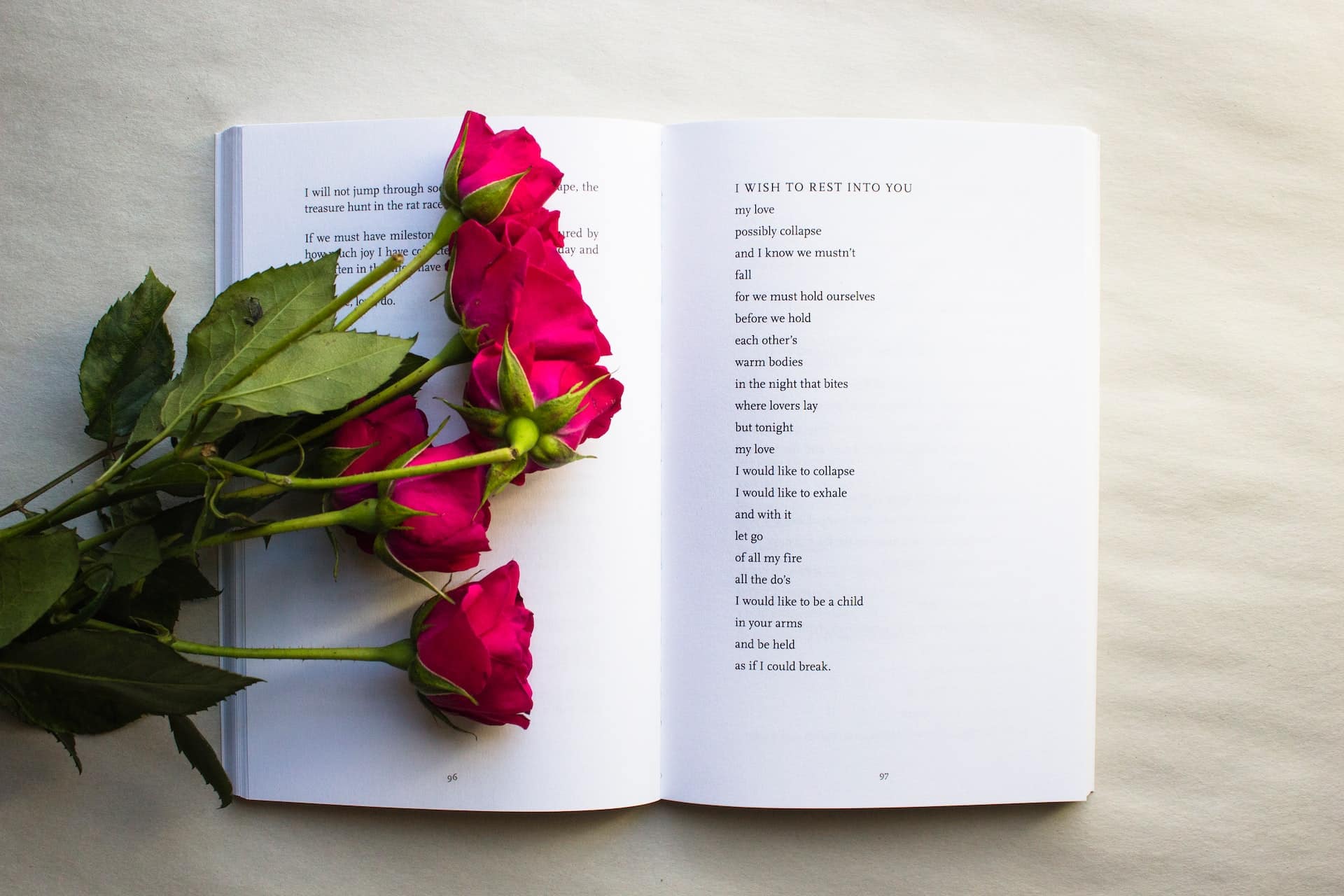 Open book with red roses resting on its pages