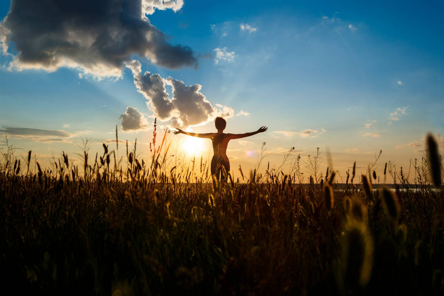 Silhouette of a person standing in a field during sunset