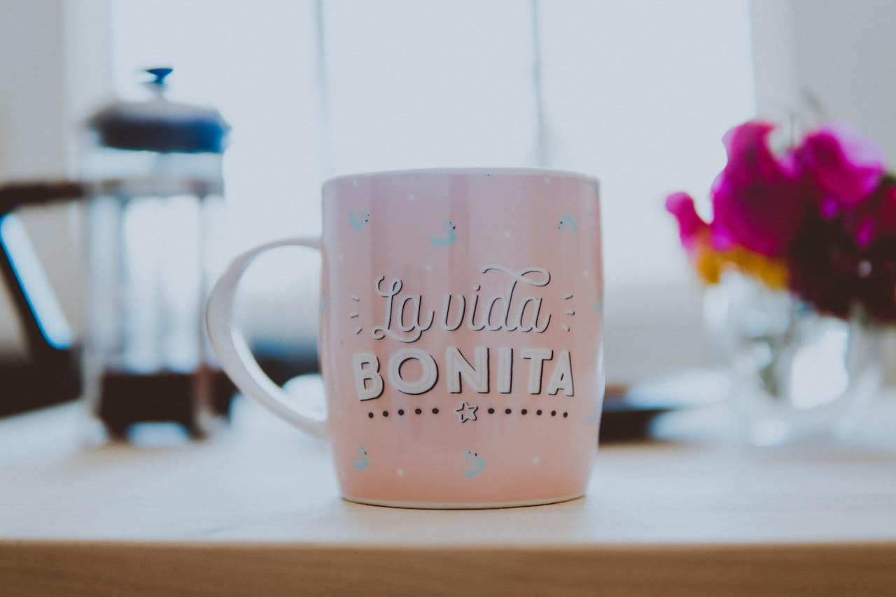 pink mug with La Vida Bonita text