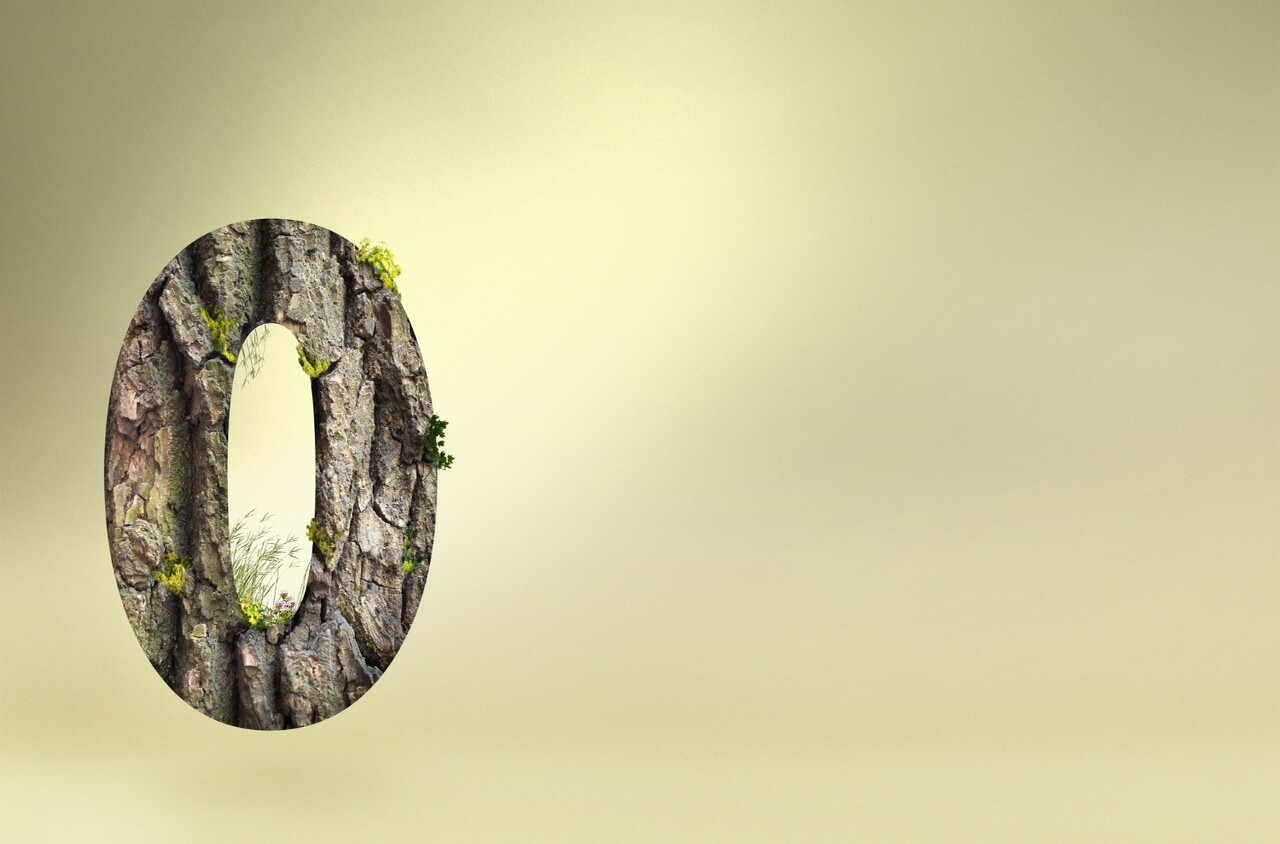 Tree-bark styled letter "O" on a soft green gradient background.