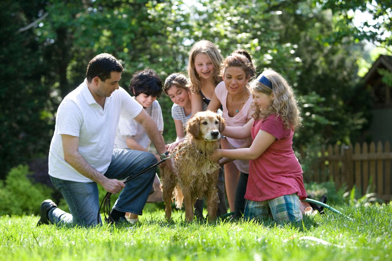 Family gathered around, washing a golden retriever in a grassy yard.