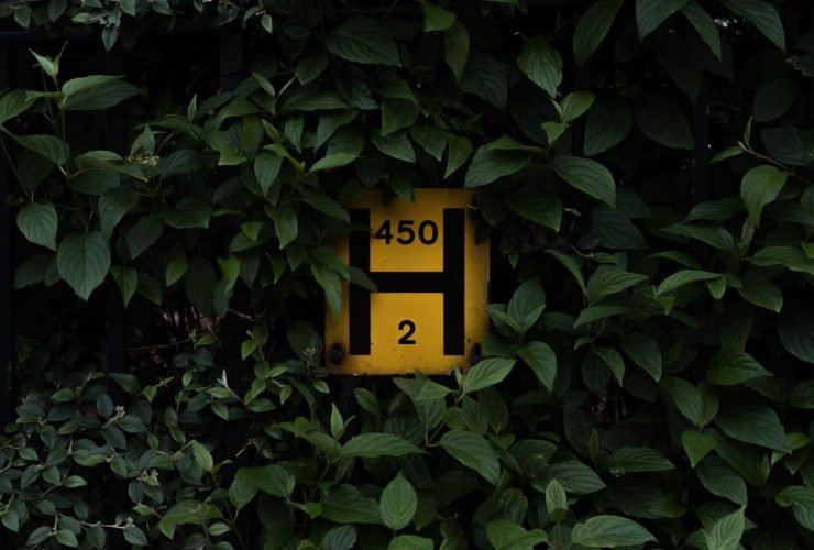 Yellow "H 450 2" sign surrounded by green leaves