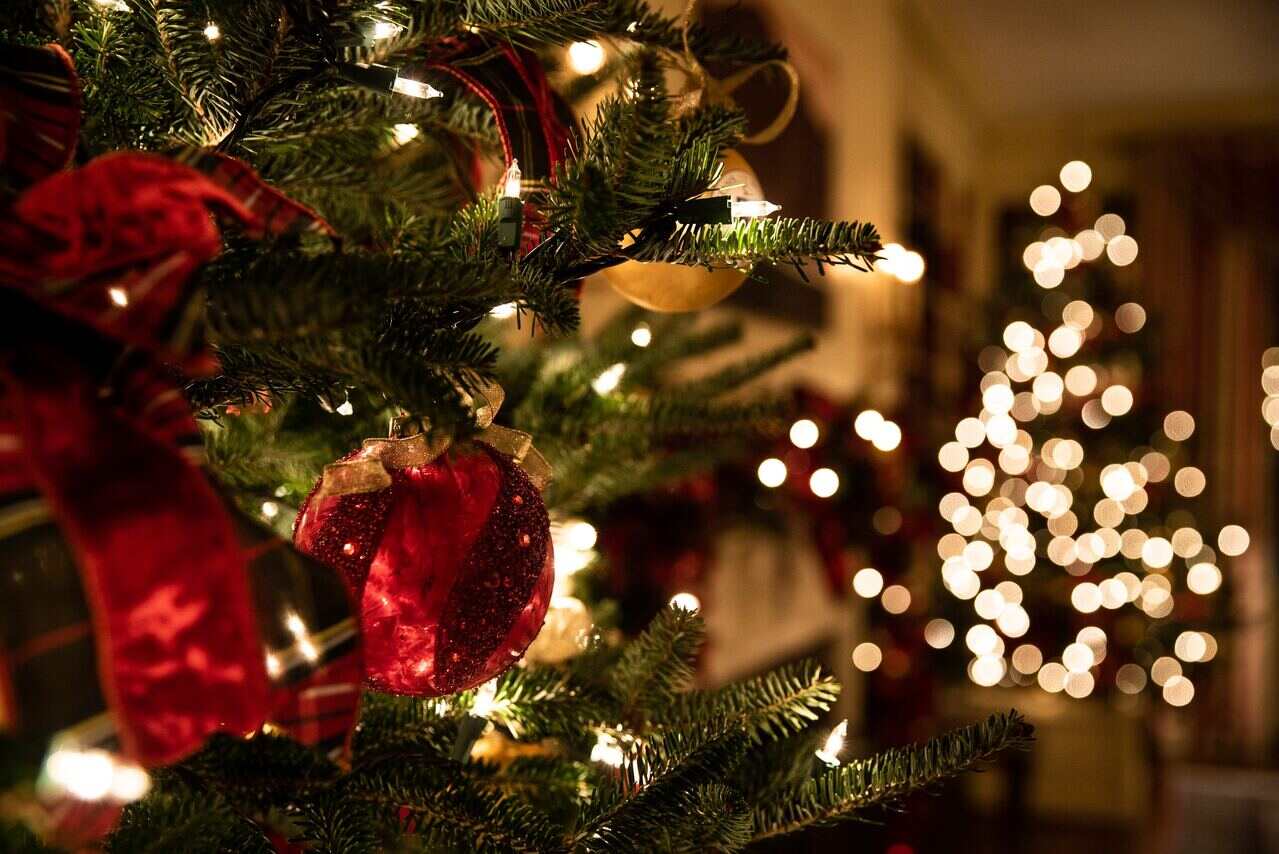 Close-up of red ornament on a decorated Christmas tree