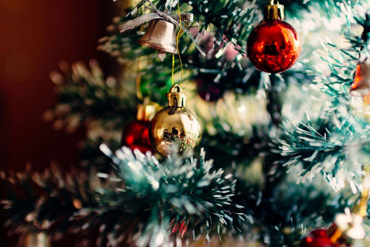 Christmas ornaments on a decorated tree branch