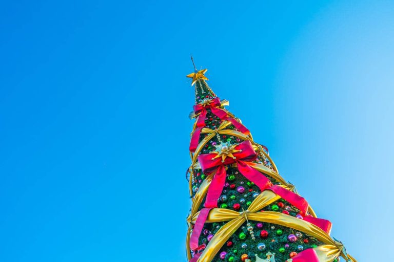 Tall Christmas tree decorated with red bows and ornaments