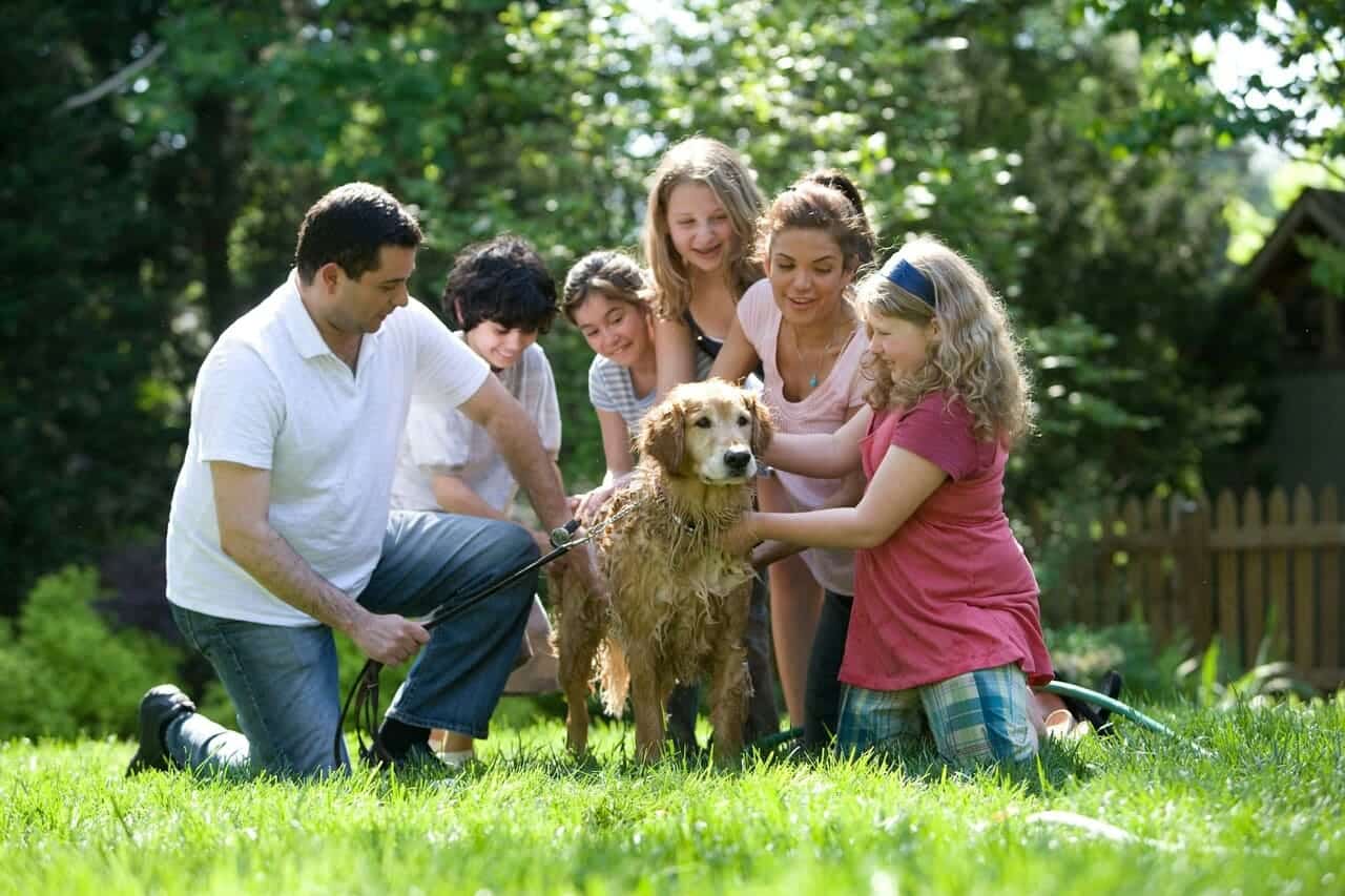 Family washing a golden retriever outside in the garden