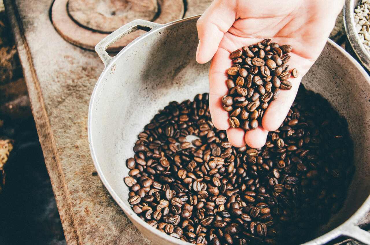 Hand holding roasted coffee beans above a pot