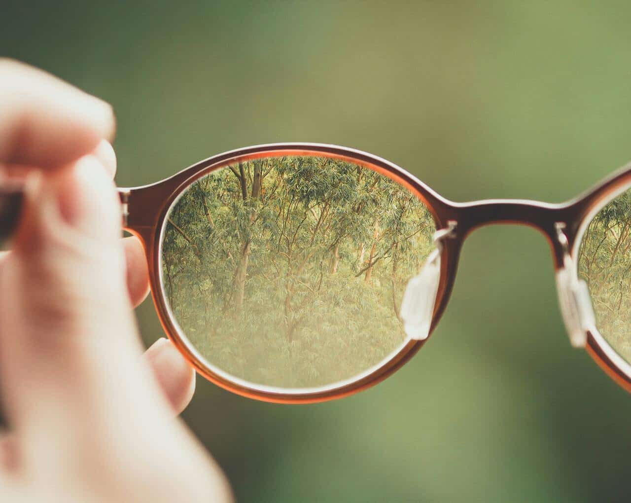 Close-up of glasses focusing on trees, blurred background